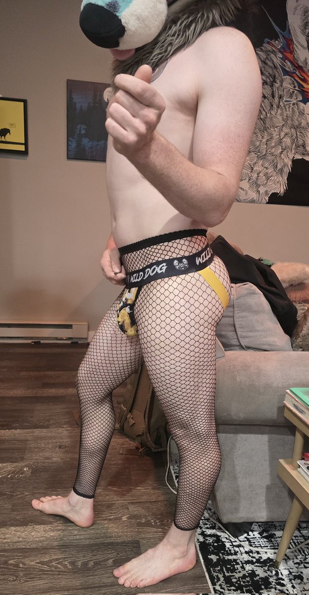 Apollo's Knotty Corner tweet media