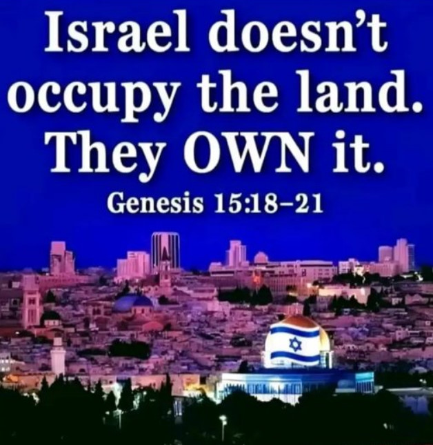 Falthman71 tweet media