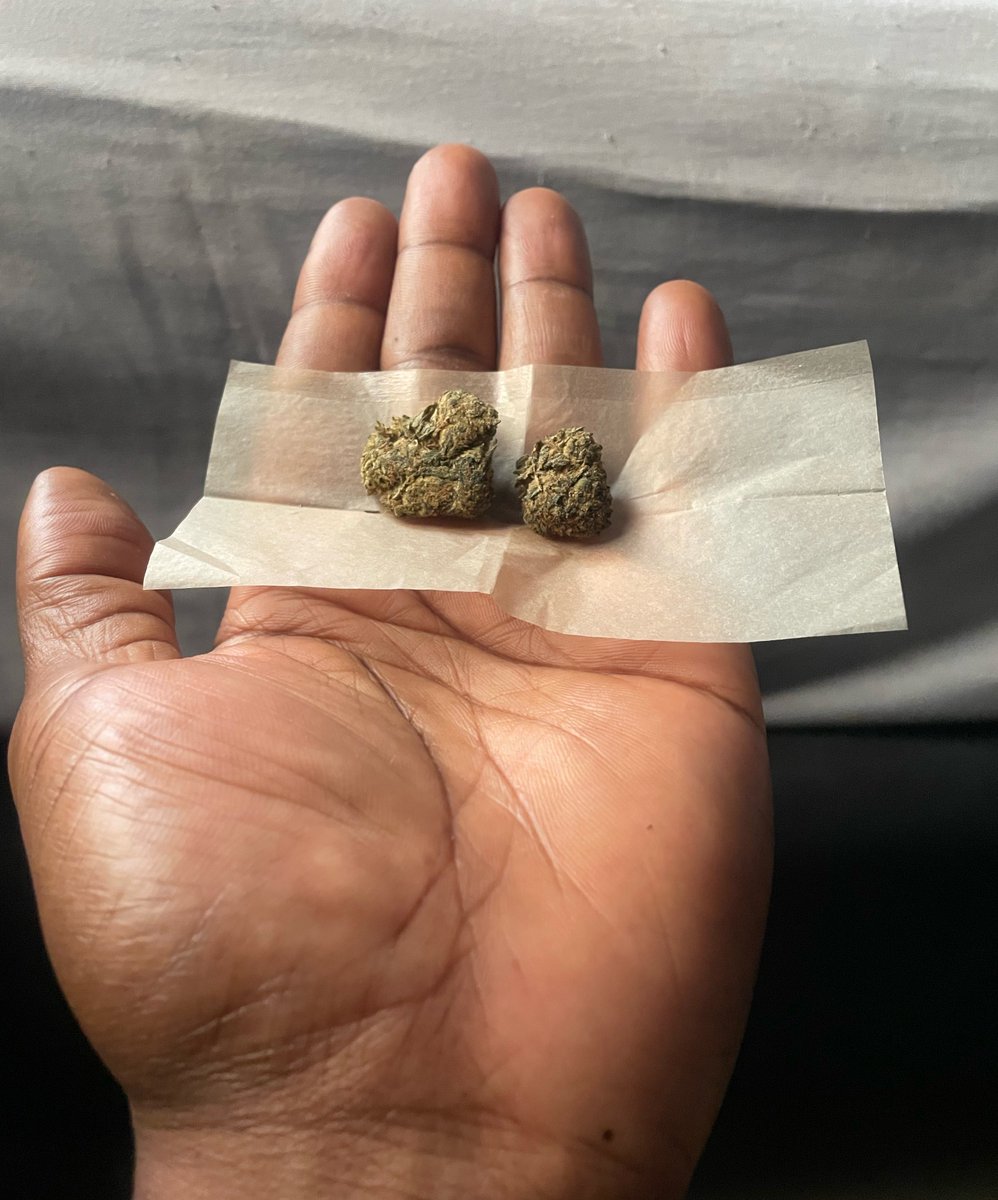 a meek thug tweet media