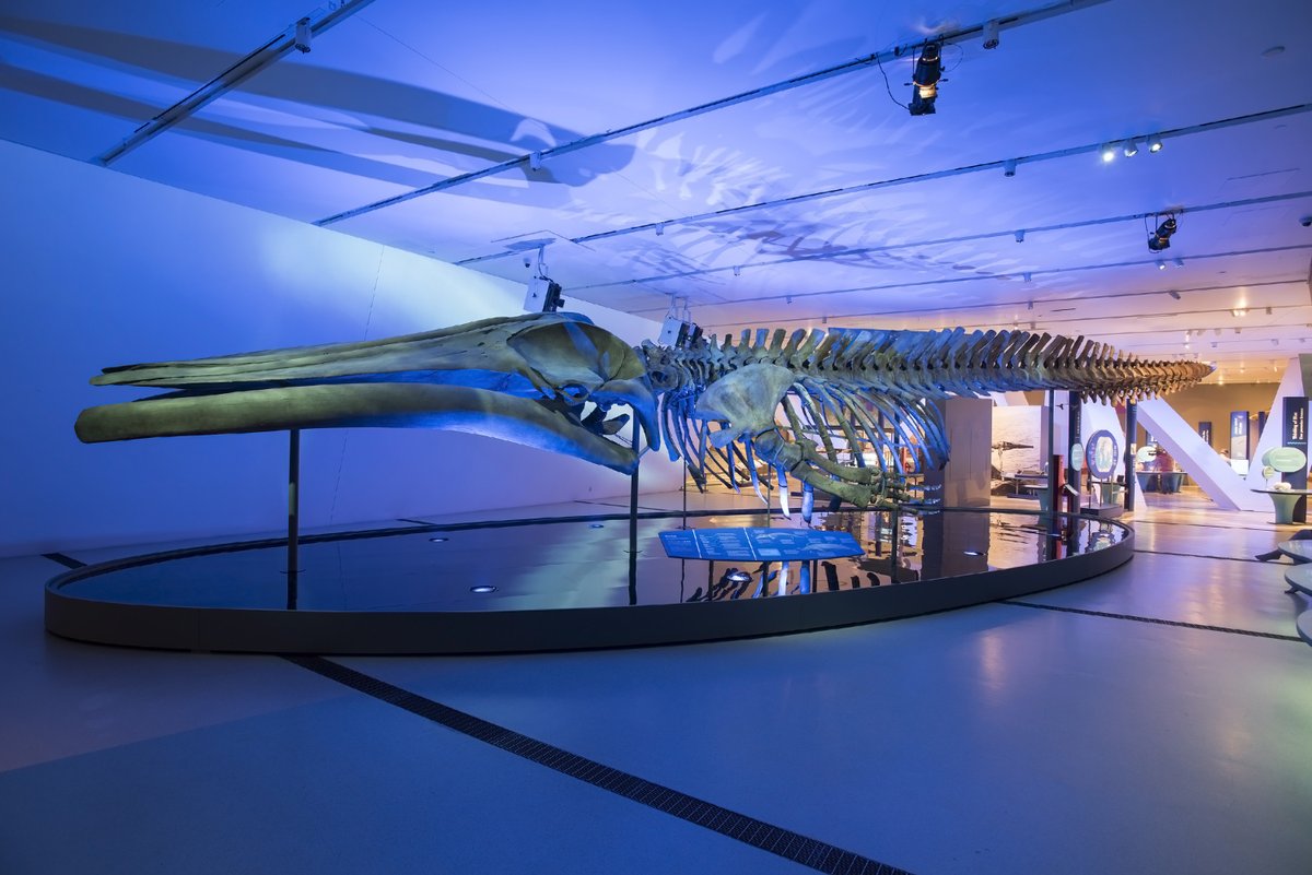 Saint Louis Science Center tweet media
