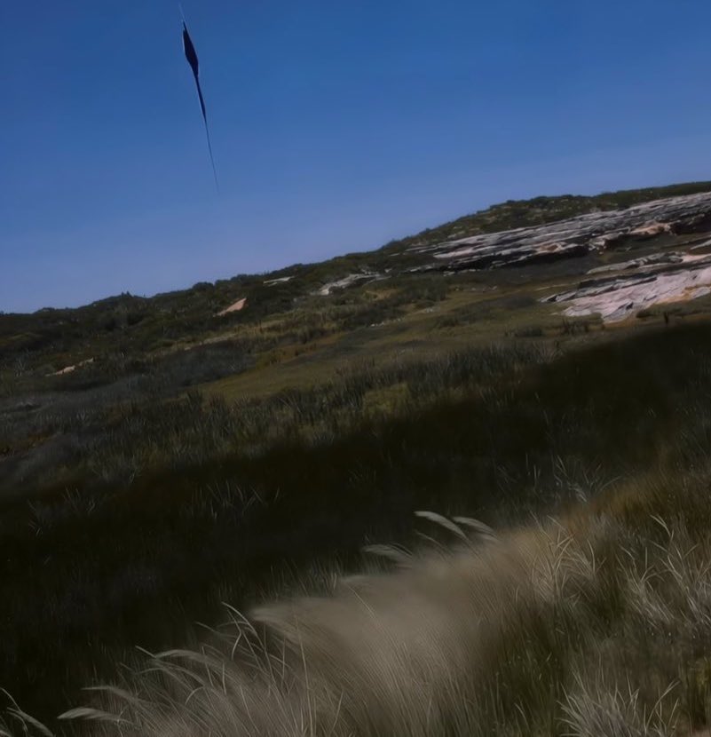 𝖬𝖾𝖼𝗁𝗎𝗋𝗒🍋 tweet media