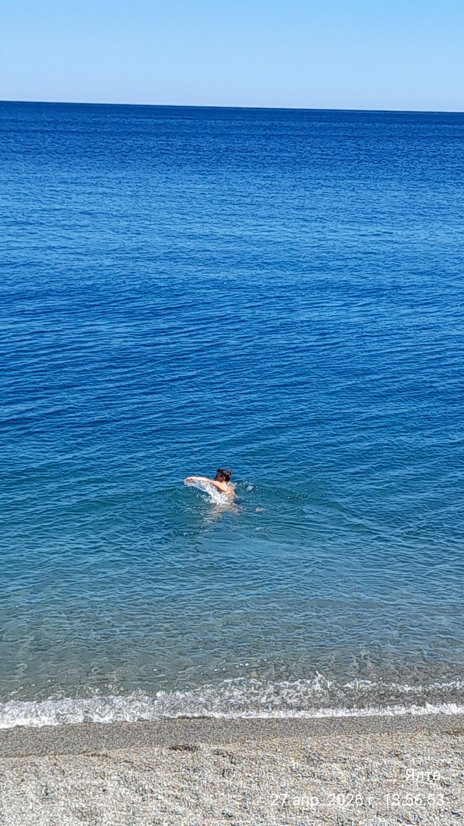 Z 34Aleksандр tweet media