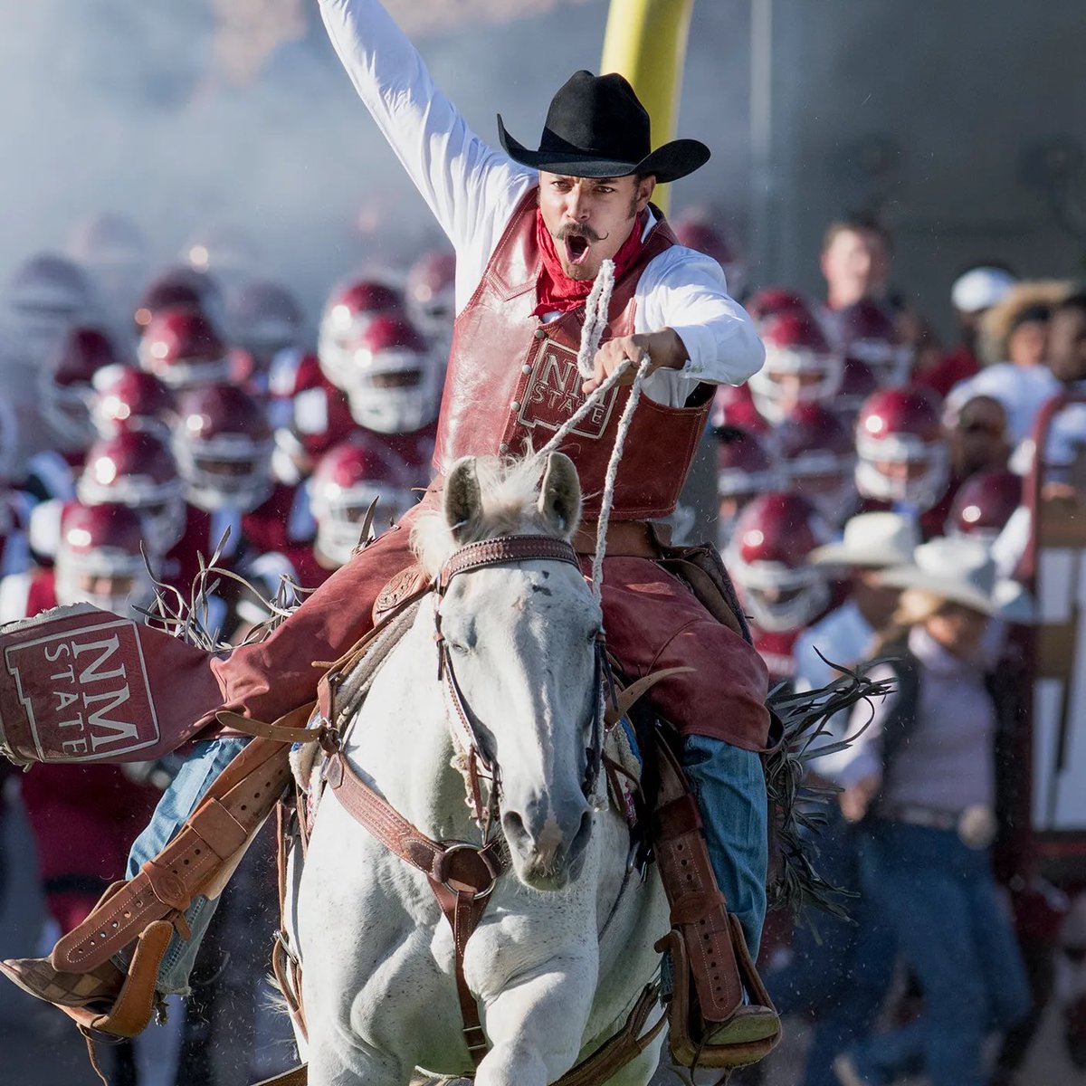 TristanWillis tweet media