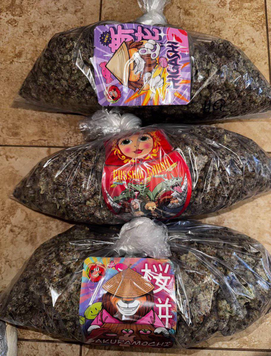 MeltExoticduig's tweet image. 3 POUNDS BAG
WHAT WILL YOU DO IF I GIVE YOU FOR 
FREE?

HOW LONG CAN IT LAST YOU
#fypシ゚viralシfypシ゚ #Texas