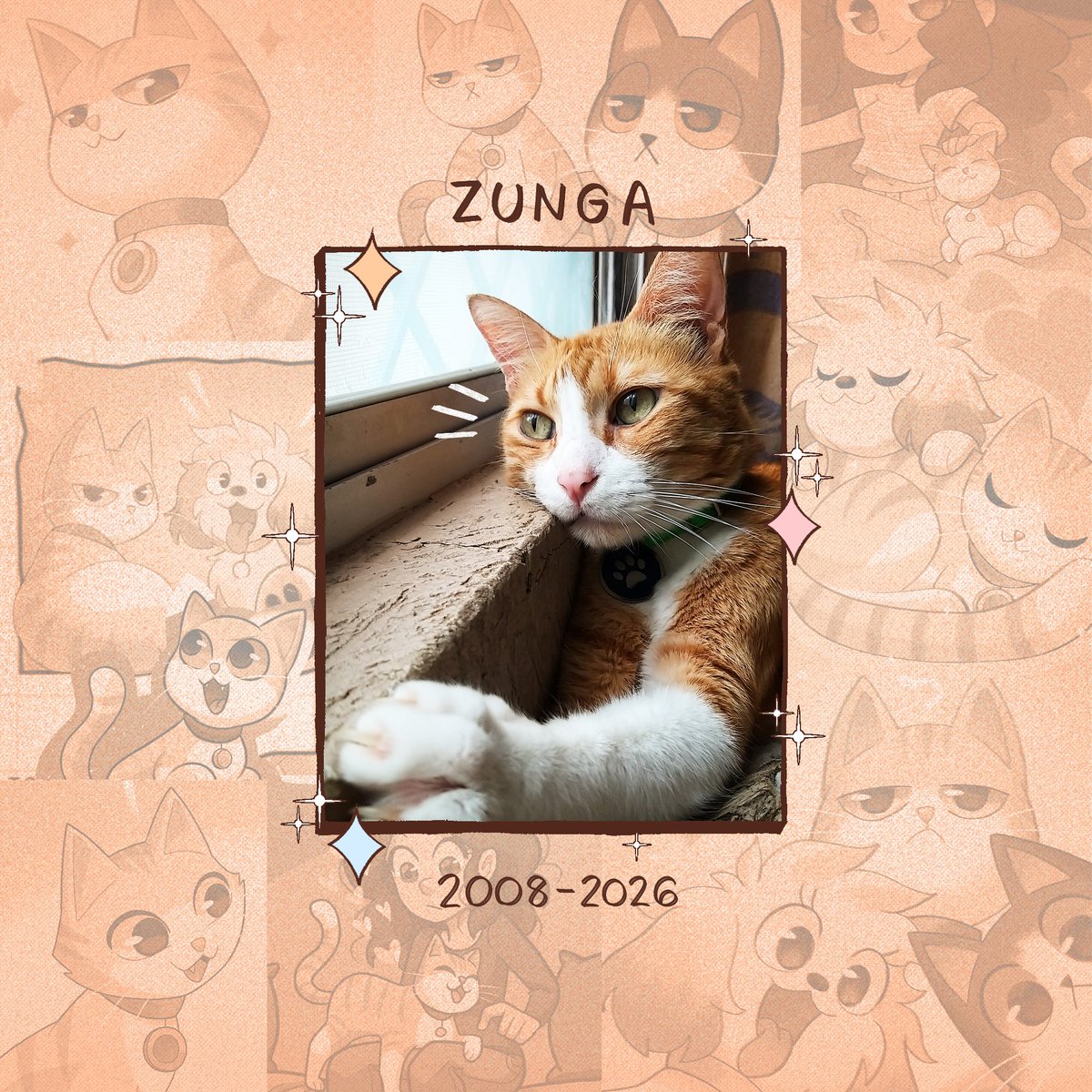 🌻 Elena 🌻 tweet media