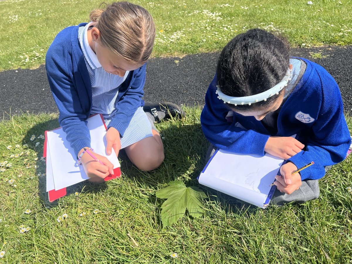 StJosephsCP's tweet image. Year 5 have been conducting some field work in the sunshine this afternoon. They identified different types of plants and trees using their guides and created some wonderful observational drawing. #Geography #Fieldwork #outdoorlearning