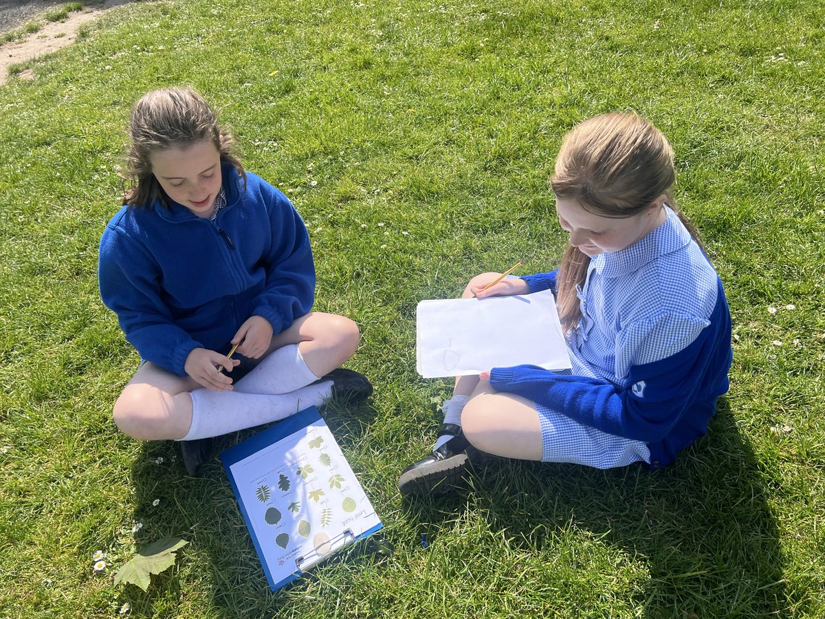 StJosephsCP's tweet image. Year 5 have been conducting some field work in the sunshine this afternoon. They identified different types of plants and trees using their guides and created some wonderful observational drawing. #Geography #Fieldwork #outdoorlearning