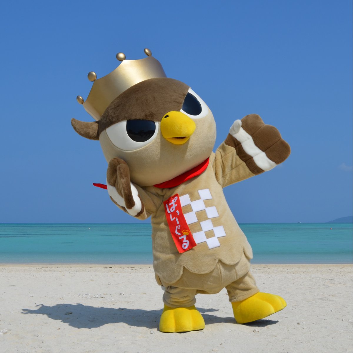 Kuruくる tweet media