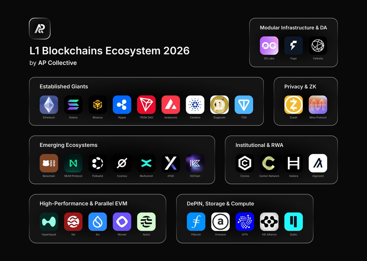 AP Collective tweet media