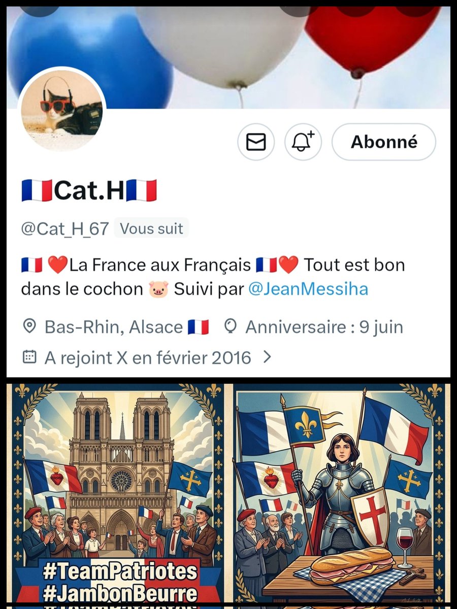 🇨🇵 Dédé 🇫🇷♿ tweet media