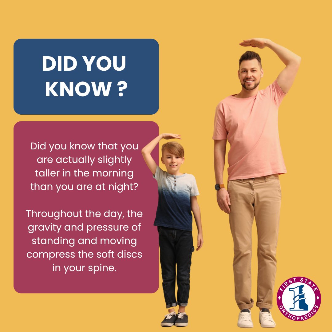 DelBoneDocs's tweet image. Did you know you’re tallest when you wake up? 🌅 Overnight, your spinal discs rehydrate and expand! If that morning comfort turns into evening pain, it’s time for a check-up. Let our Spine team help you start every day feeling your best.

🔗 delawarebonedocs.com/spine.php

#DidYouKnow