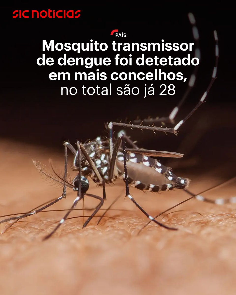 SIC Notícias tweet media