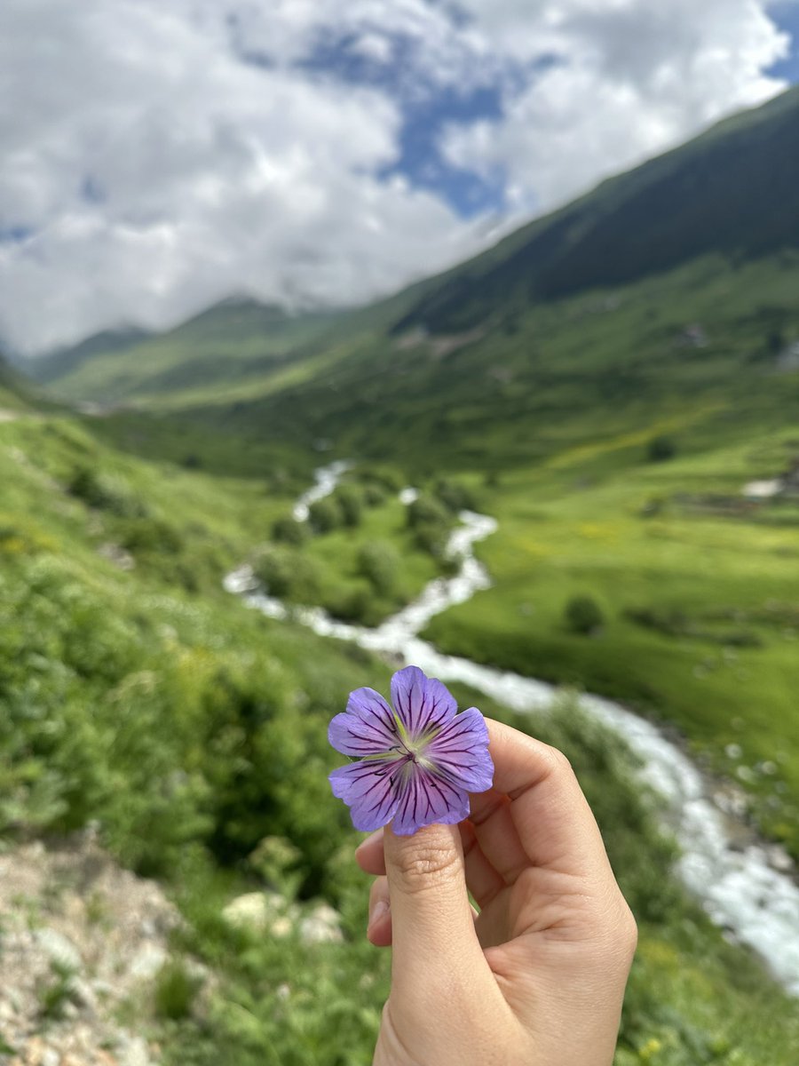 moon🌙 tweet media