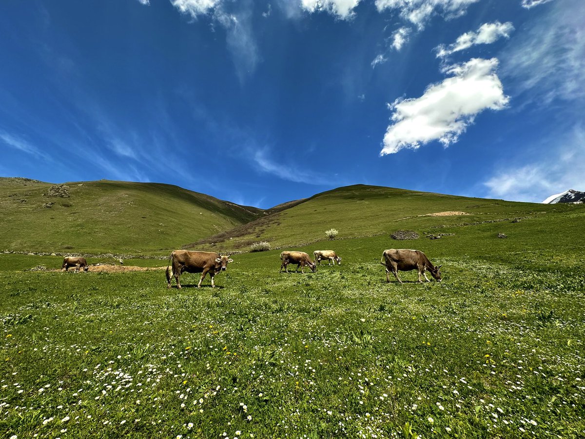 moon🌙 tweet media