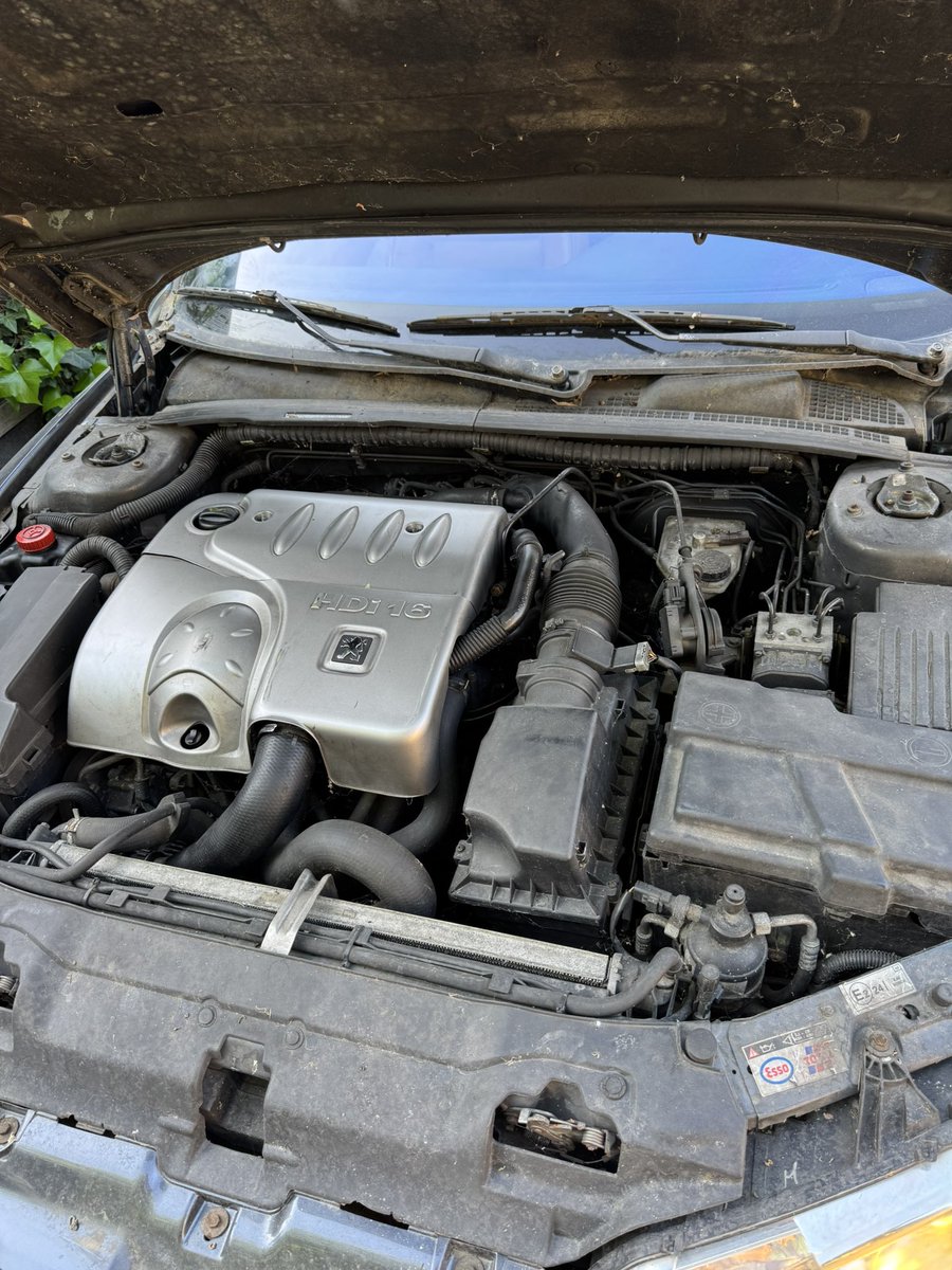 Benito 🐺 tweet media