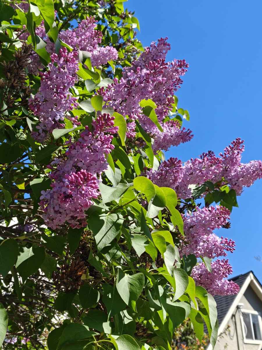 Billy Blue tweet media