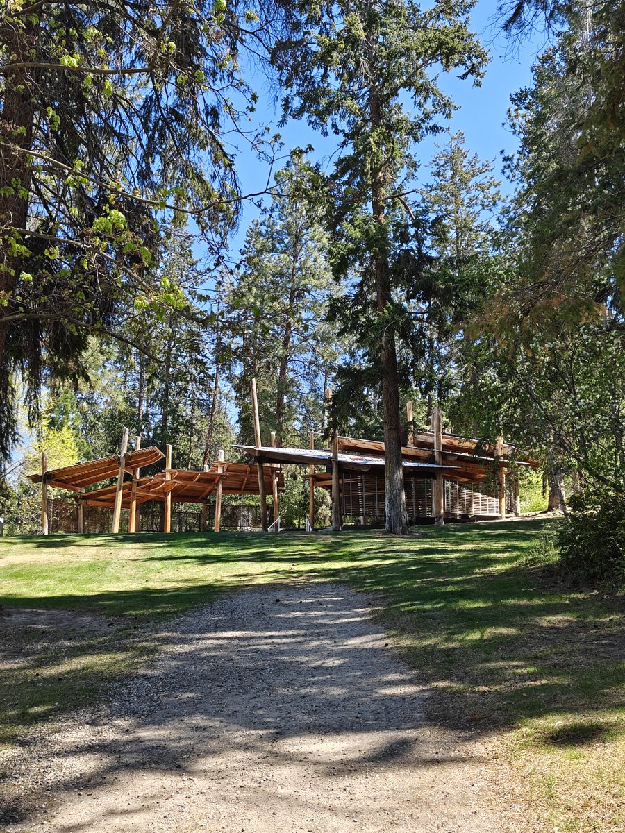 Billy Blue tweet media