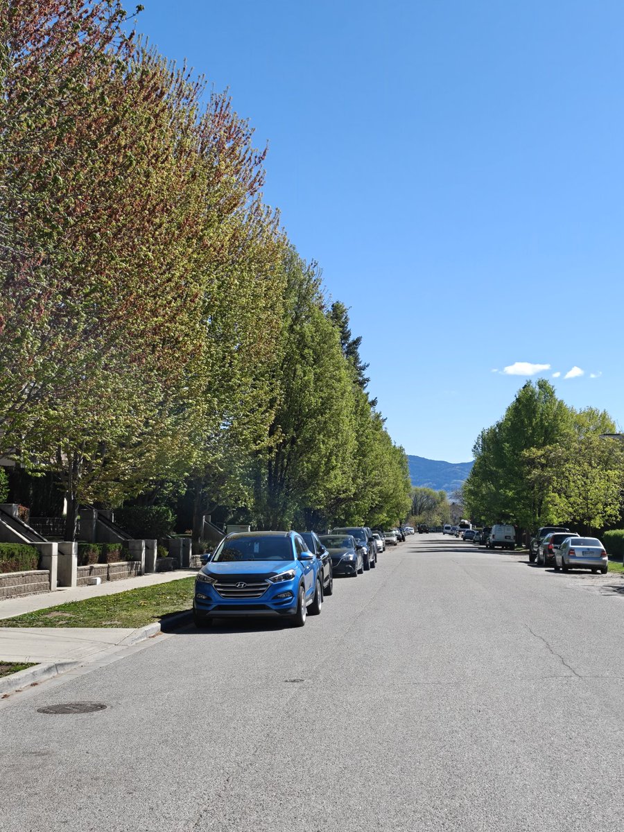 Billy Blue tweet media