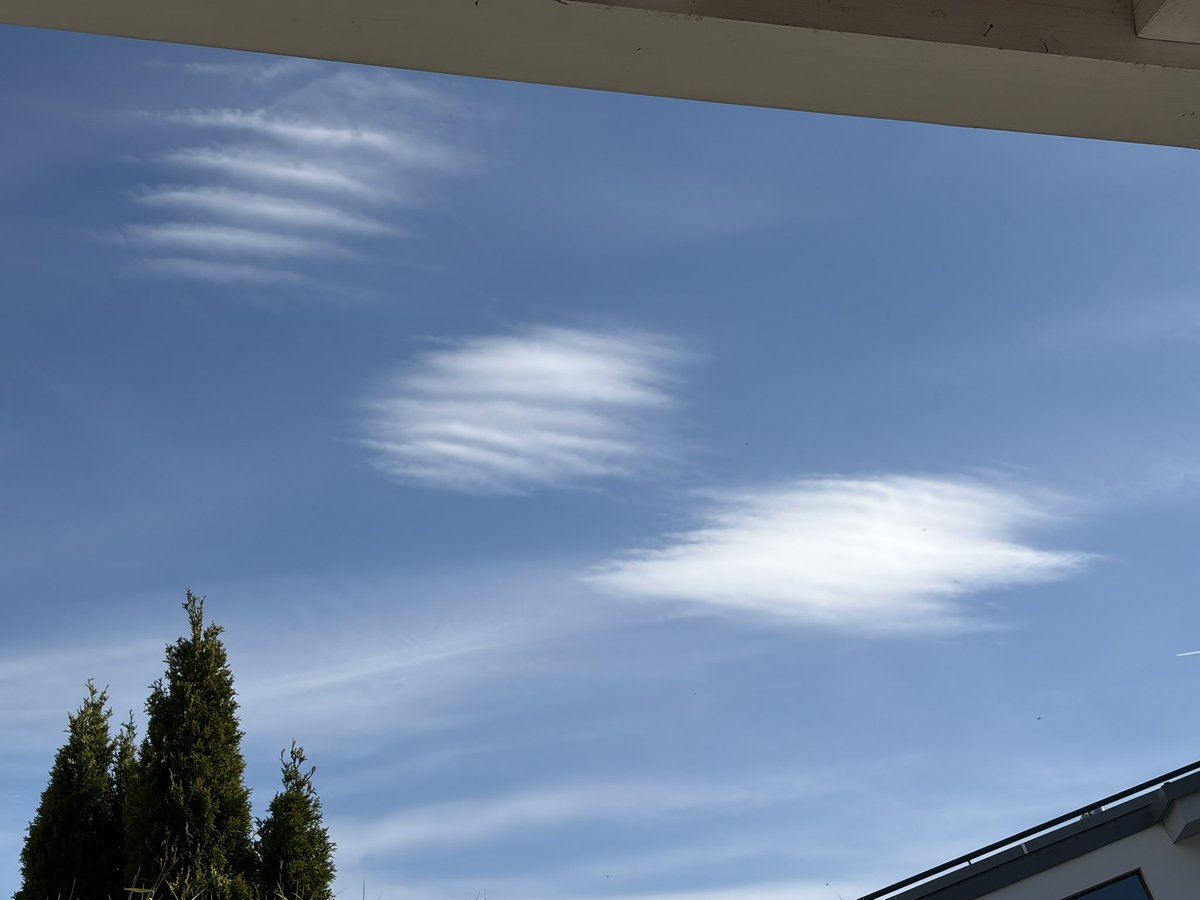 kleine Sonne 🇦🇹 tweet media