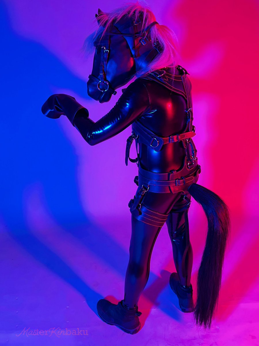 Equus Signum tweet media