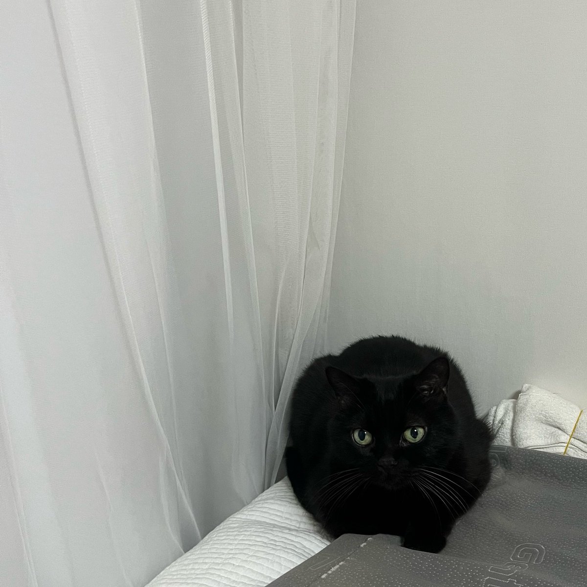 とりあえず️‍ tweet media