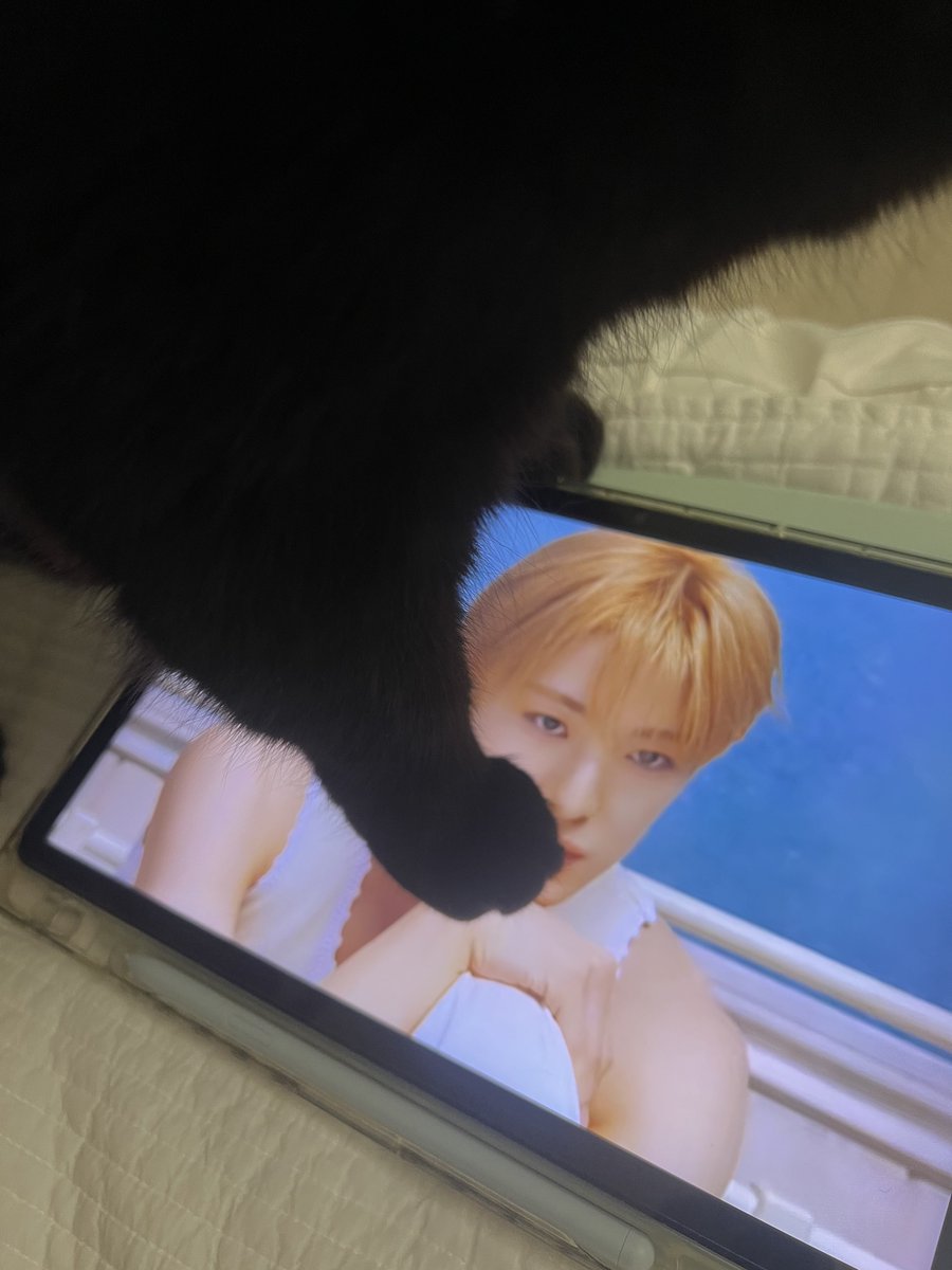 とりあえず️‍ tweet media