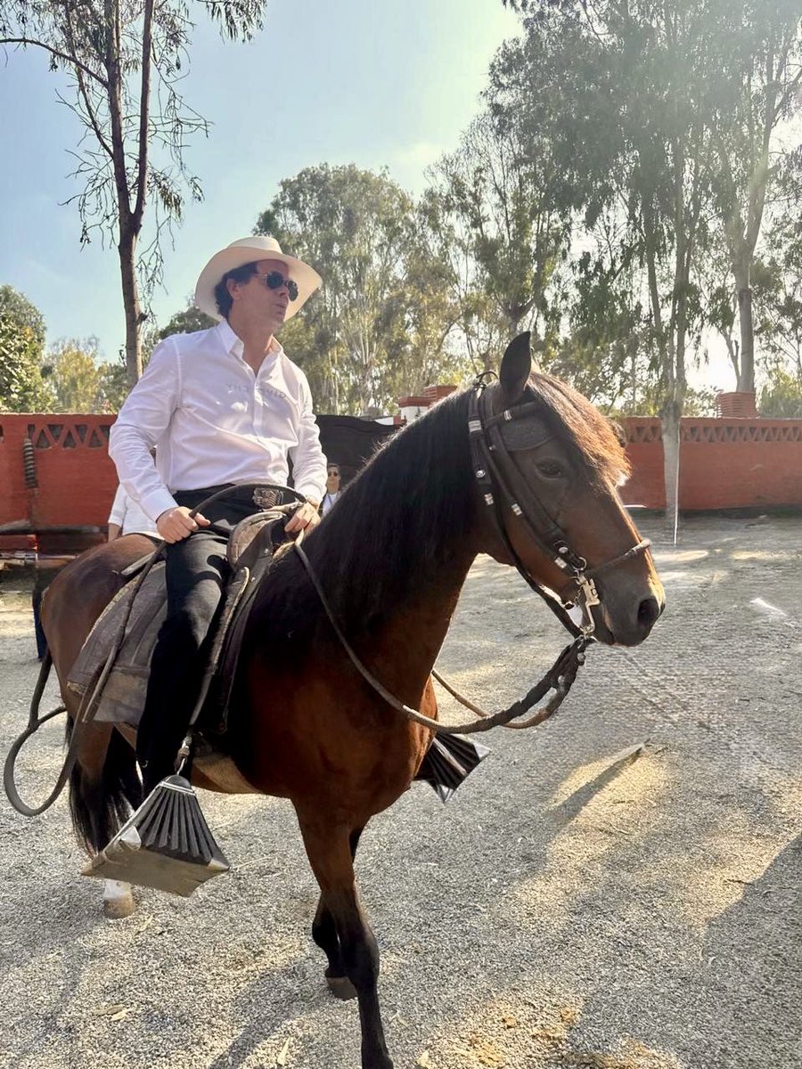 Embajador Navarro tweet media