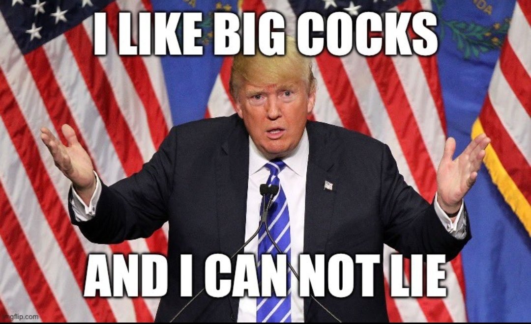 Dragon Navigator 🌊 🇨🇦 tweet media