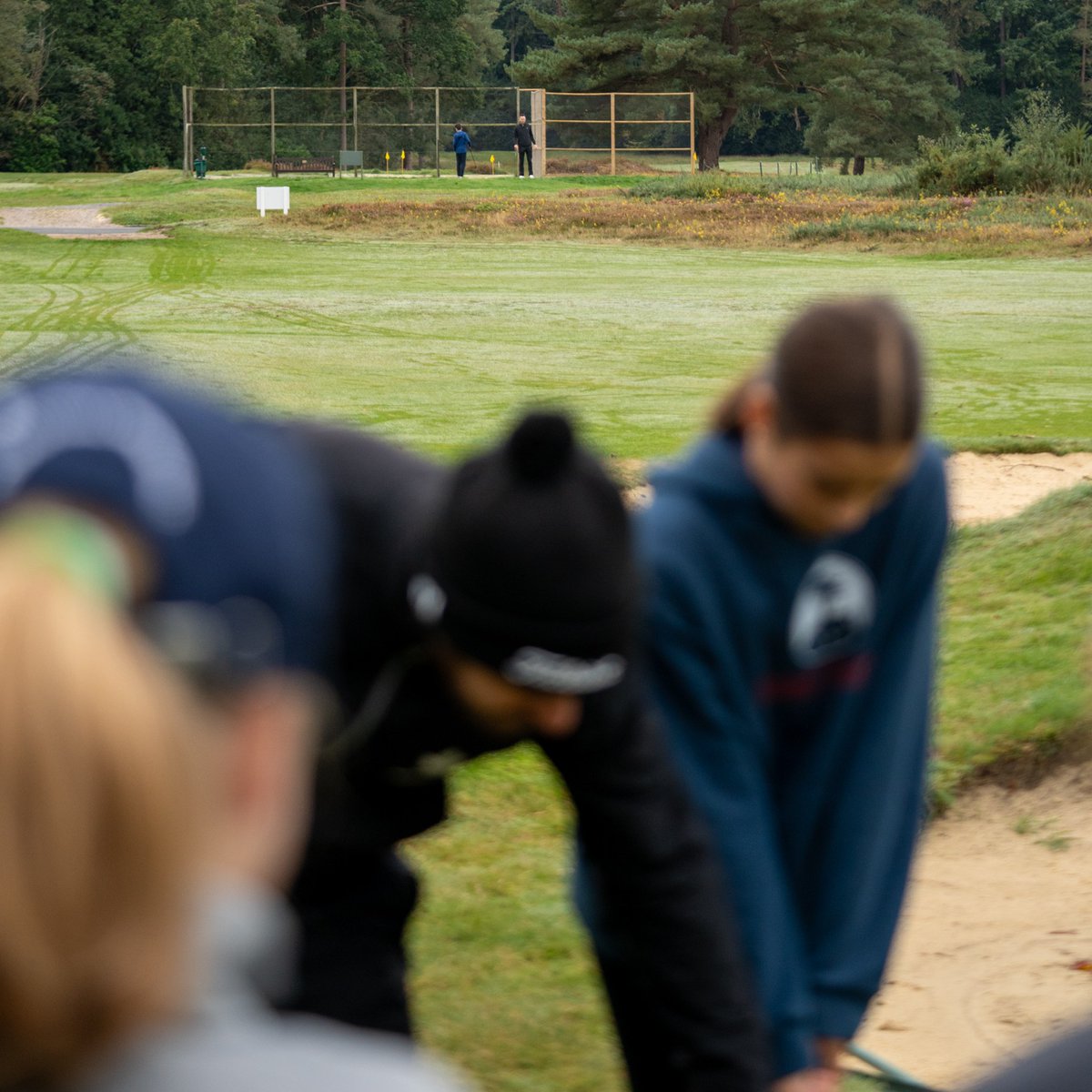 Sunningdale Heath tweet media