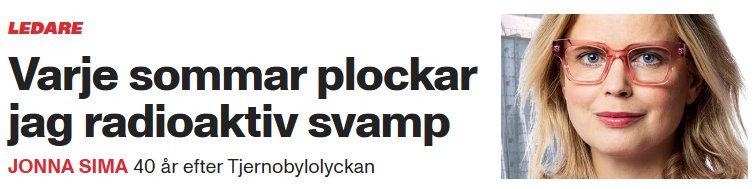 InteSosse 🪓🇸🇪🇺🇦 tweet media