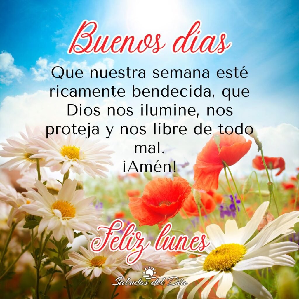 Juan Palma tweet media