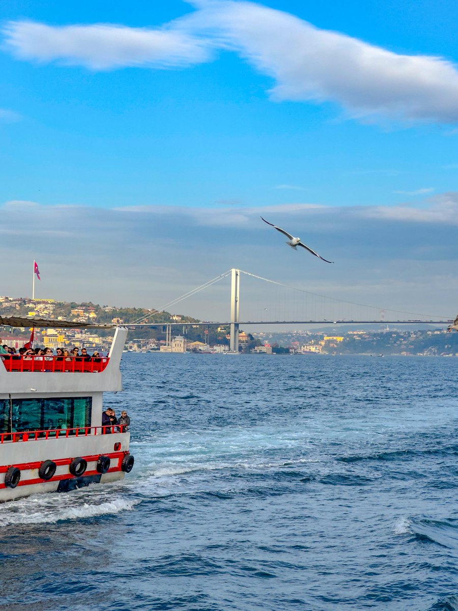Ahu Öztürk tweet media