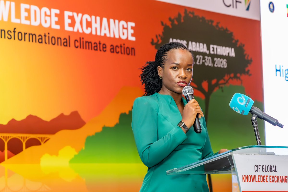 Le Canapé tweet media