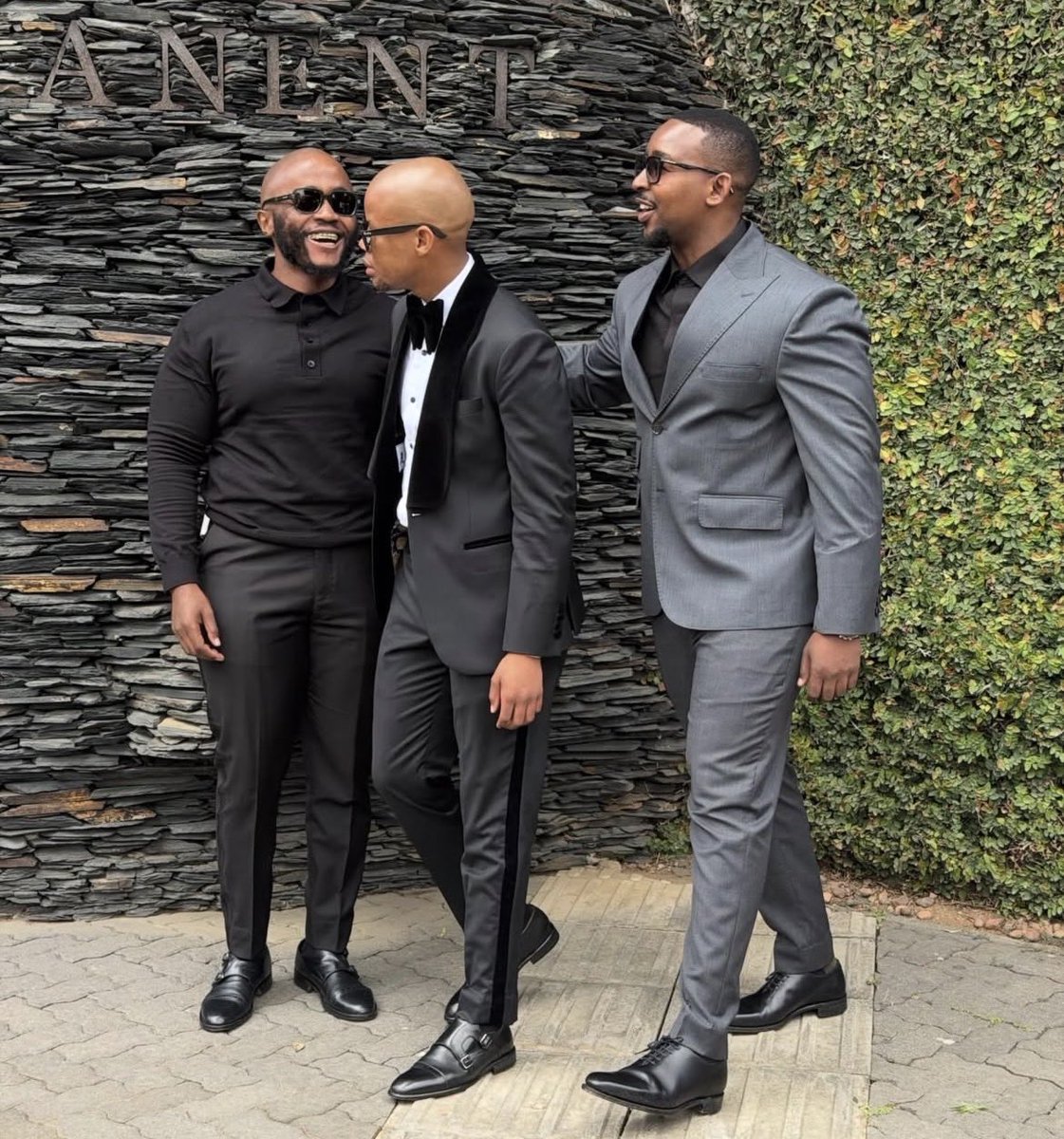 Sunflower tweet media