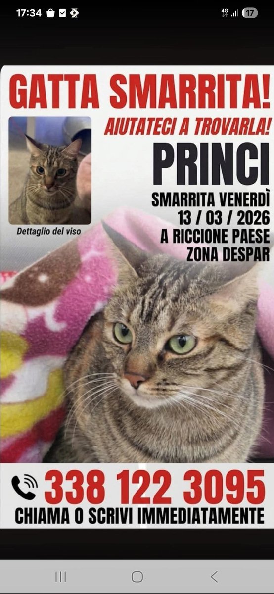 Serenella Raimondo tweet media