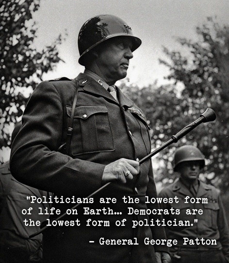 The Conservative Alternative tweet media