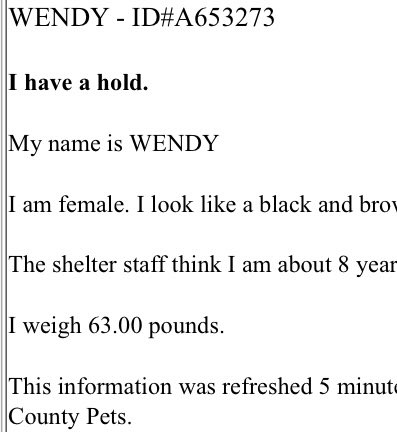 PawsnTails4TX's tweet image. 🎉💞🐾WENDY has been reserved! This sweet girl will now have someone to love her and treat her like she deserves! Thank you all for helping her find safety 🙏🐾 More details to follow as I receive them!
Congratulations WENDY 🥳🎊
Houston #TX