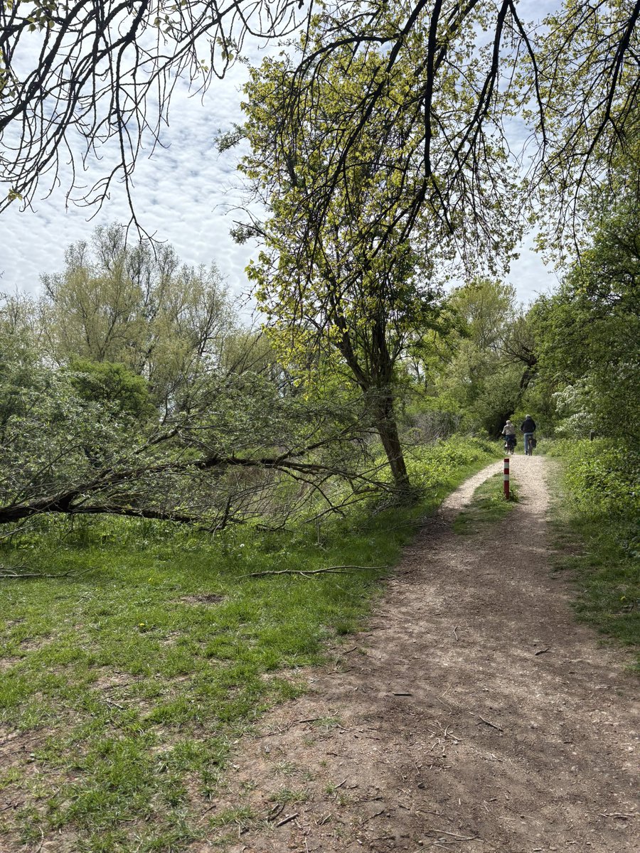 دِثار tweet media