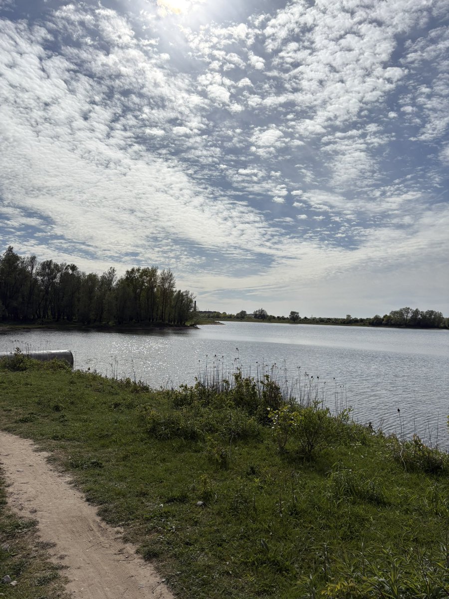 دِثار tweet media