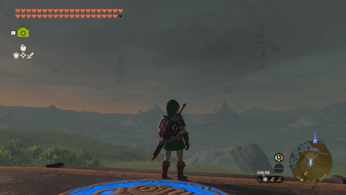 NintendoFanGirl tweet media
