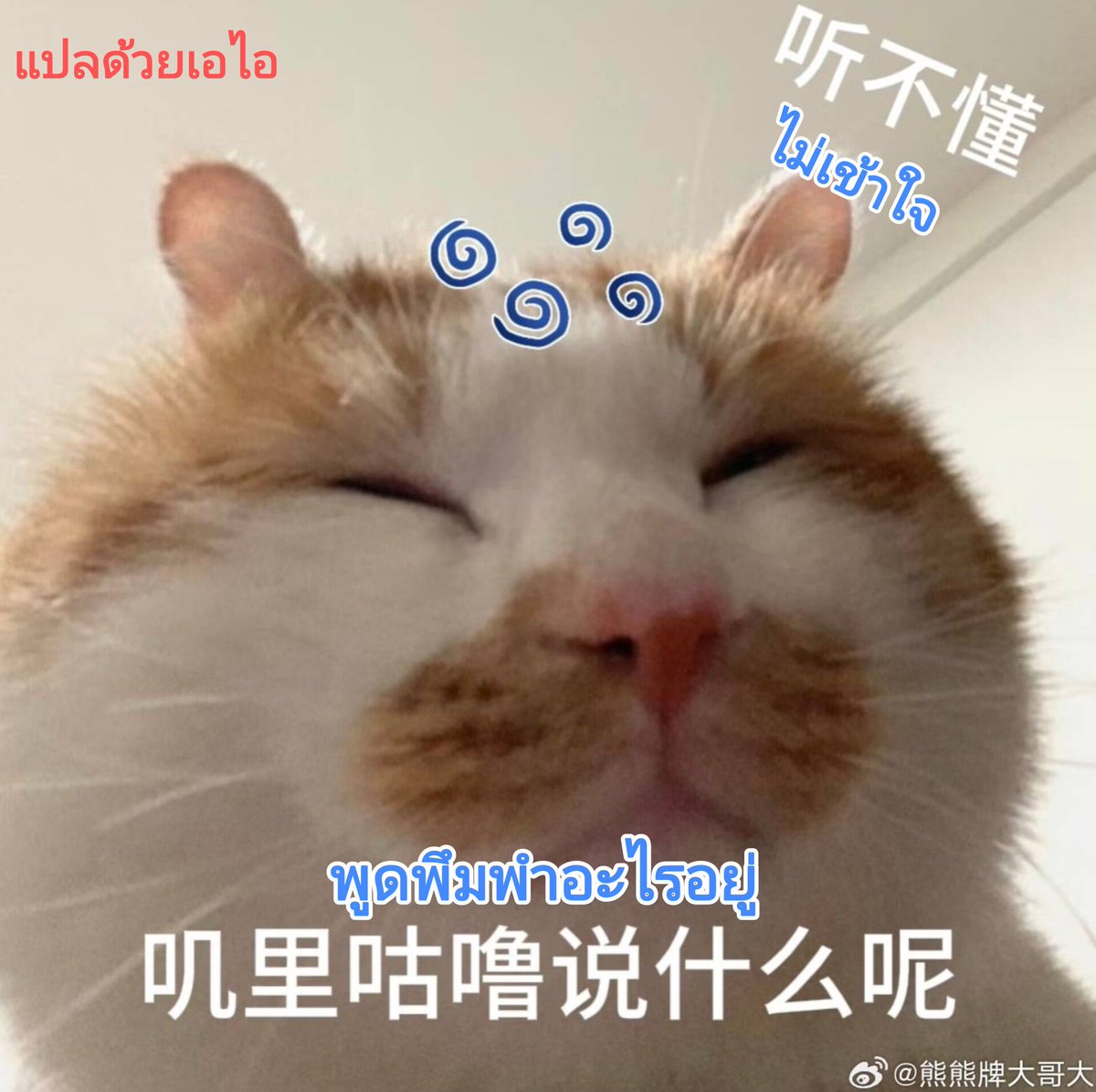 เพิ่มเติม Comment

(2/2)

#Xiaoyuliang #เซียวอวี่เหลียง