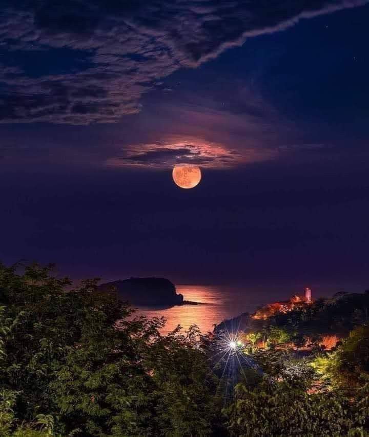 Moon Lovers tweet media