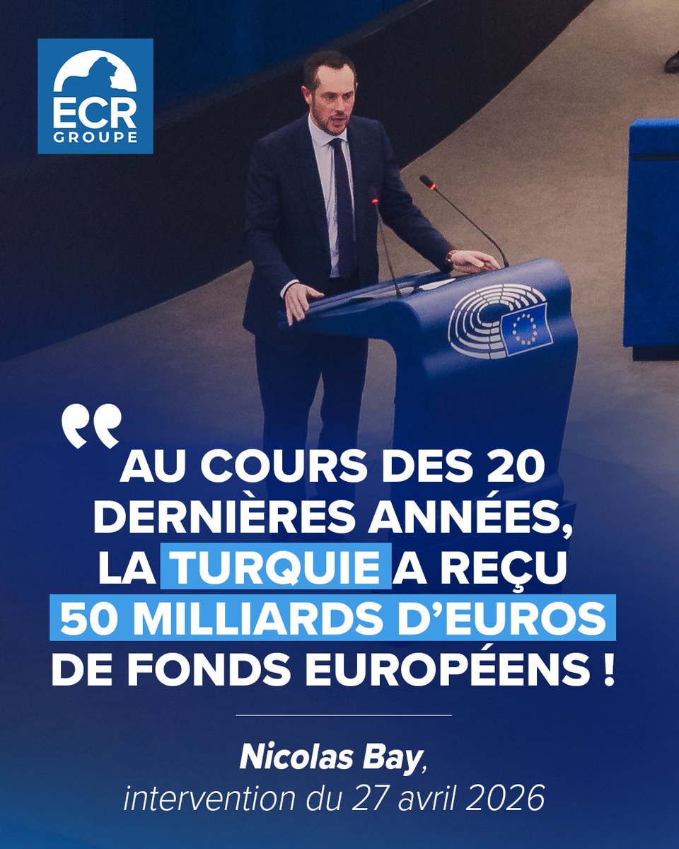 Nicolas Bay tweet media