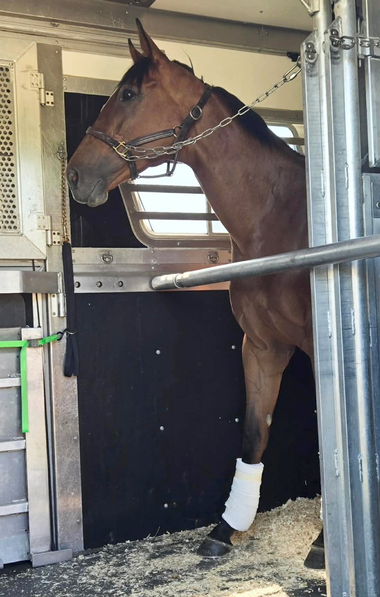 MichelePesulaKuegler tweet media