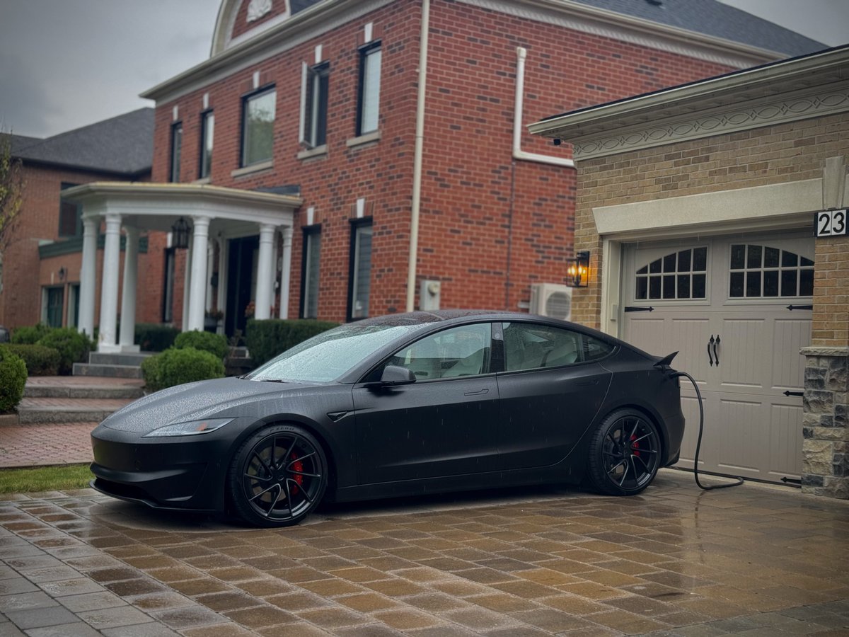 Nic Cruz Patane tweet media