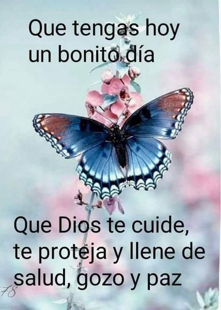 pascual soia tweet media