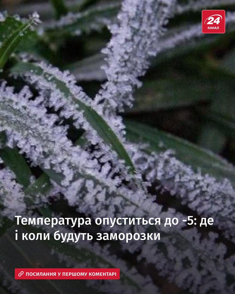 24 канал tweet media