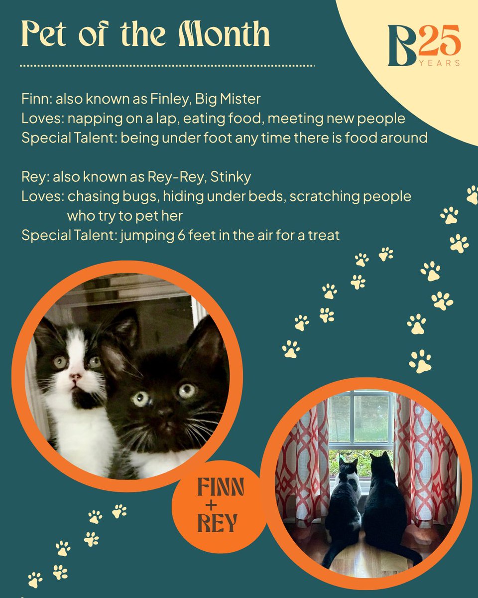 This month's #BPPets furry duo is bringing double the personality! Theresa's dynamic pair, named after heroes from the Star Wars sequel trilogy, have been inseparable since being rescued together, forming a bond that's both strong and entertaining. 
#bouncepath #bp25 #cre