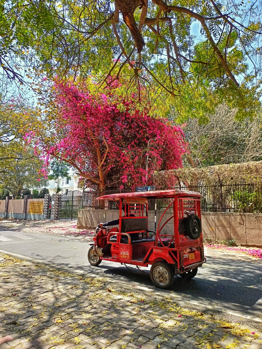 Loved the photo, loved the place even more. ❤️