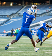 JoeBucsFan tweet media